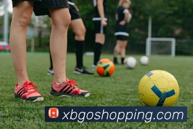 星空手机在线登录平台生态图